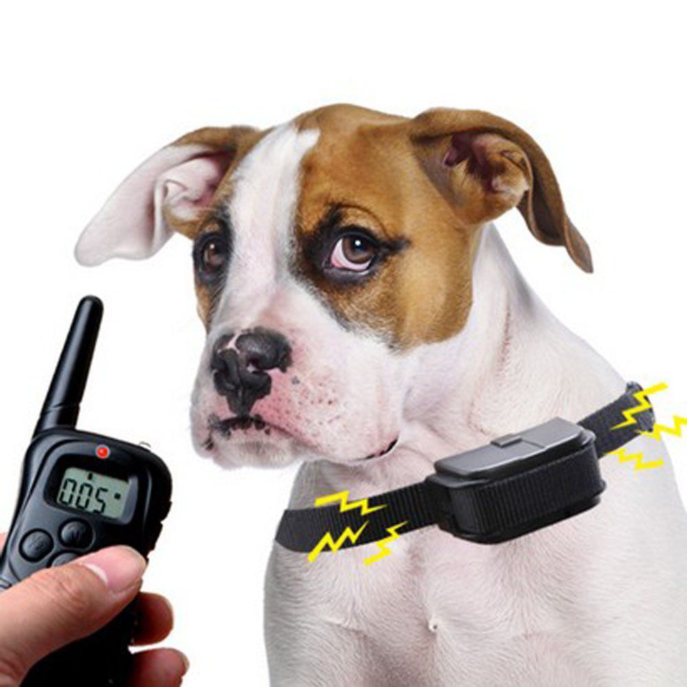 قلاده آموزش سگ Wodondog